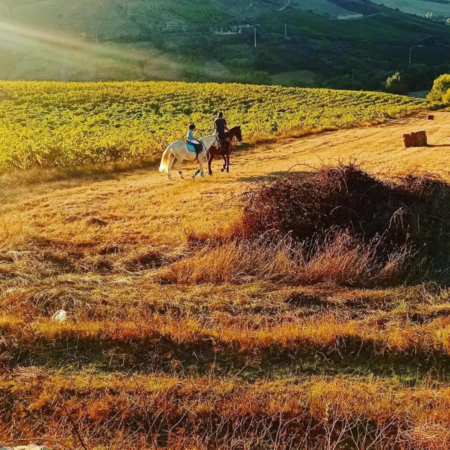 Casinha De Campo- Quintinha Dos Cavalos- Arruda Dos Vinhos Bagian luar foto